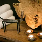Pytloun Wellness Otel
