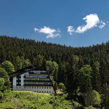 Hotel Pytloun Wellness Harrachov