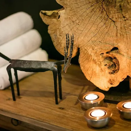 Pytloun Wellness 호텔