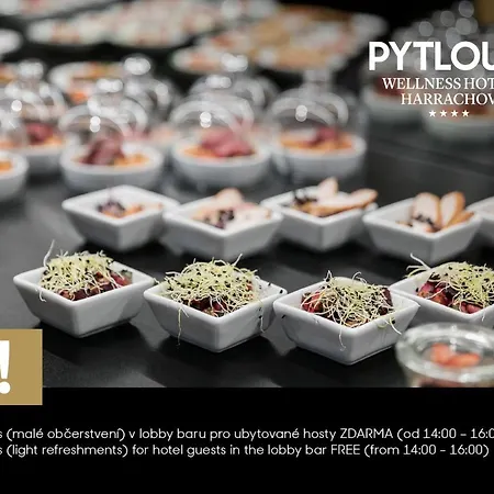 Pytloun Wellness Hotel Harrachov