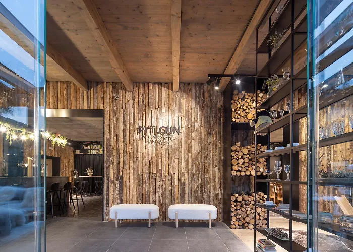 Pytloun Wellness