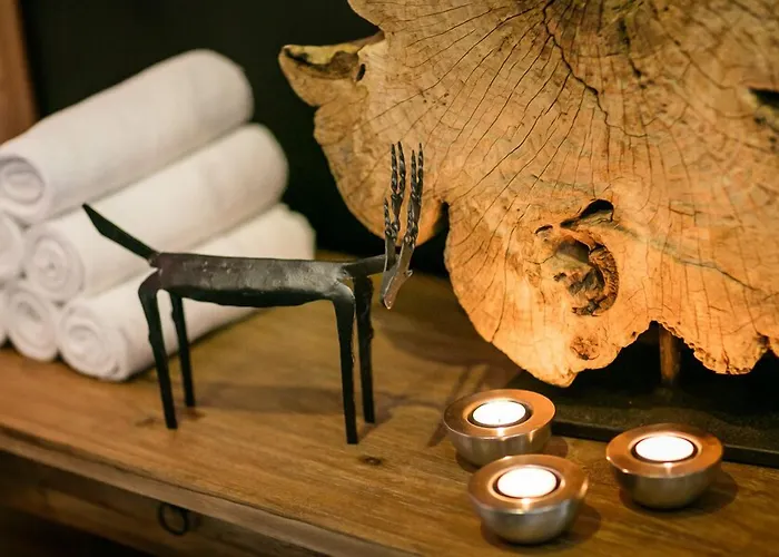 Pytloun Wellness فندق
